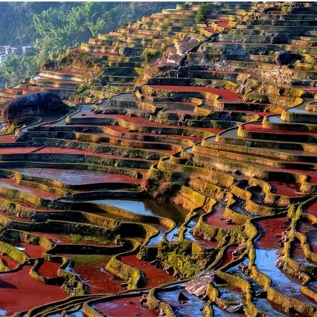 云南康辉旅游接待,云南康辉旅游服务
