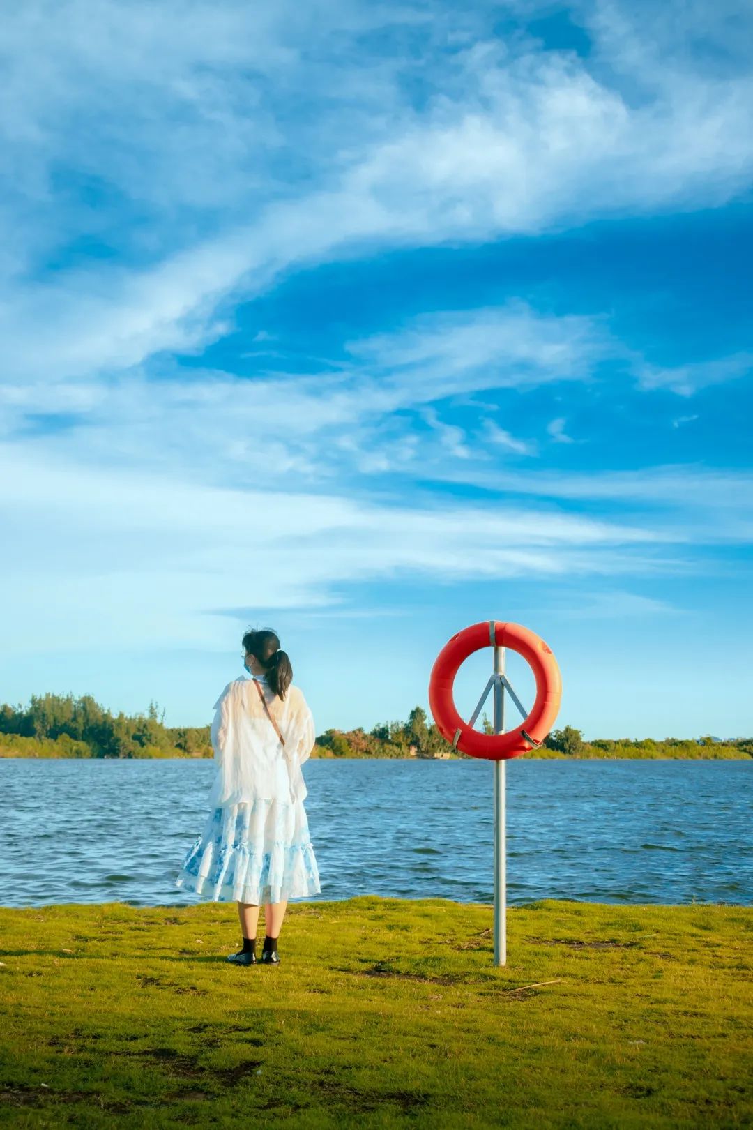 厦门油画公园,厦门油画写实风景