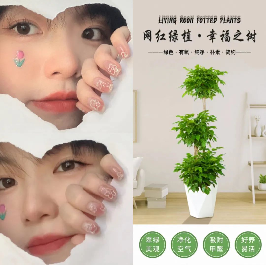 从重塑职场到入淘创业,双11来了一群00后