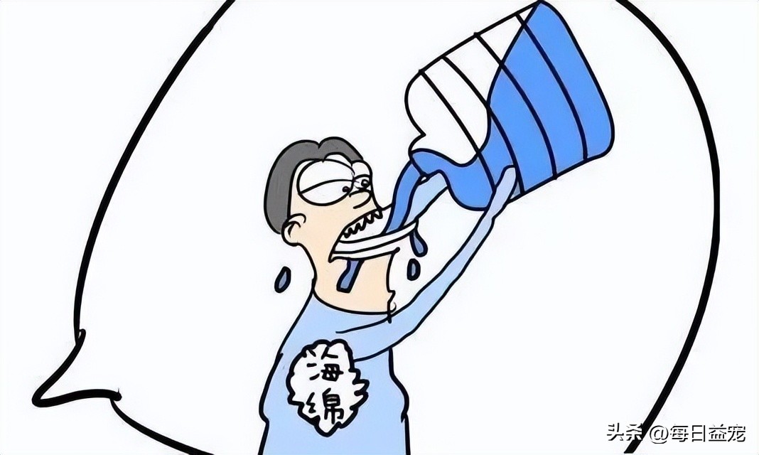 狗狗饮水禁忌多5大禁忌绝不能犯,给狗狗喝水的3大误区