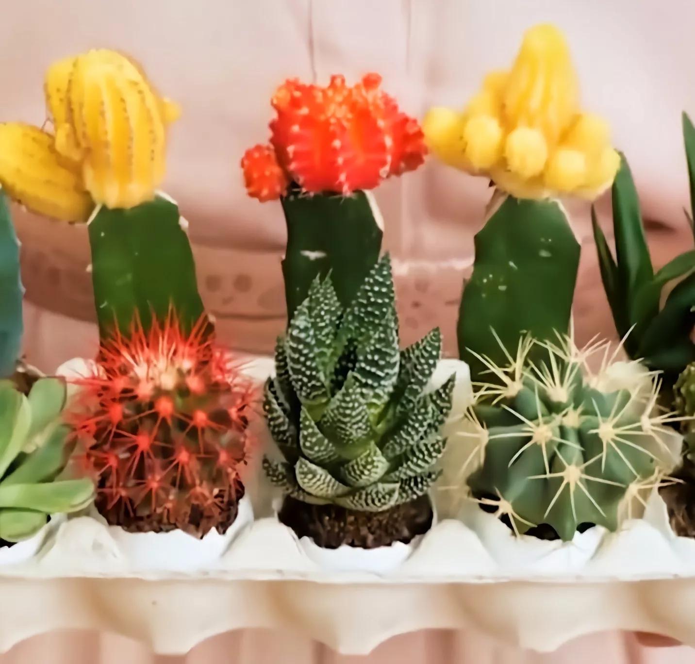 分离蛋清蛋黄最快的妙招,蛋黄和蛋清用手分离小妙招