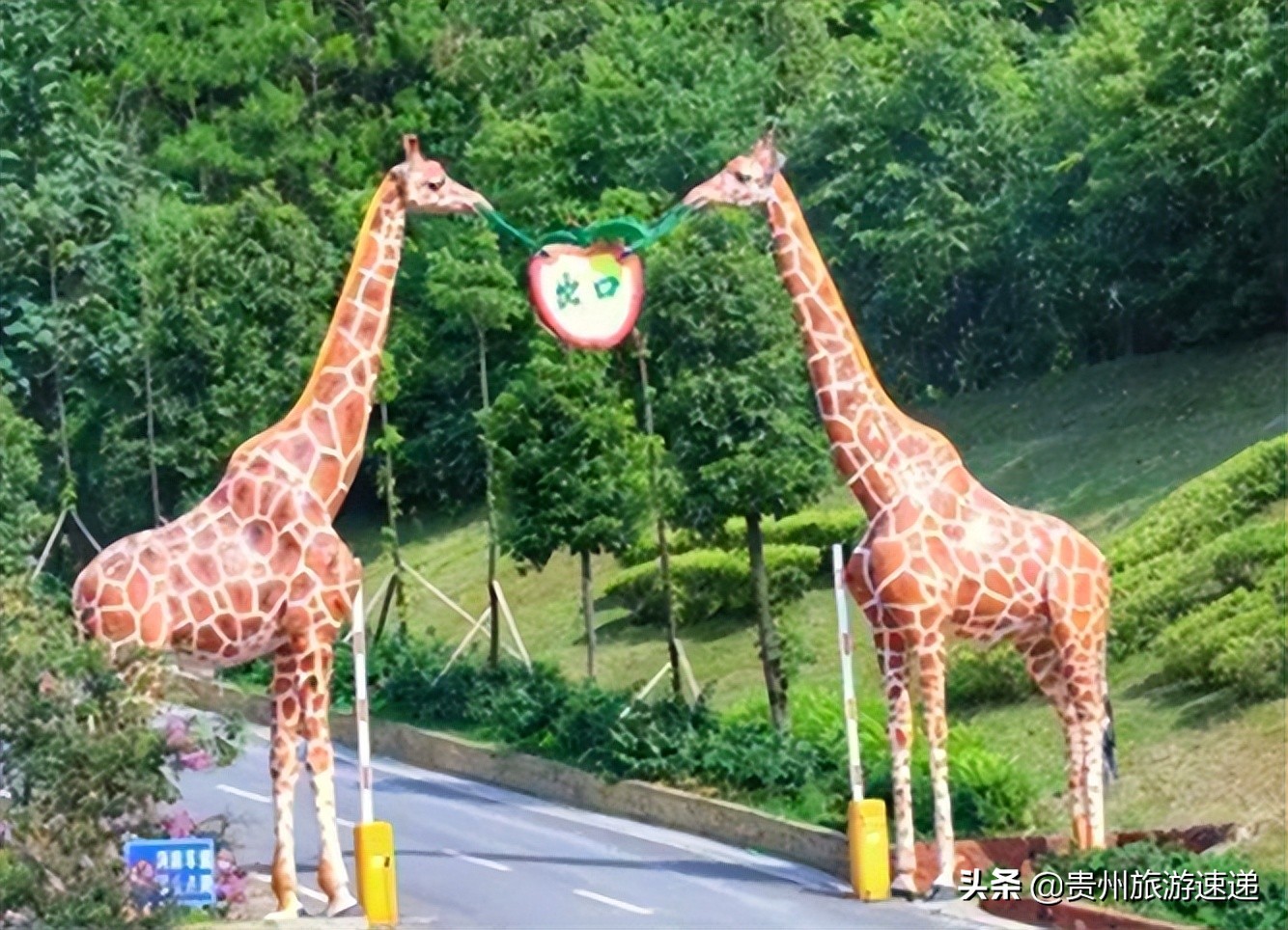 多彩贵州爽爽的贵阳避暑之都,贵阳免门票景区春节