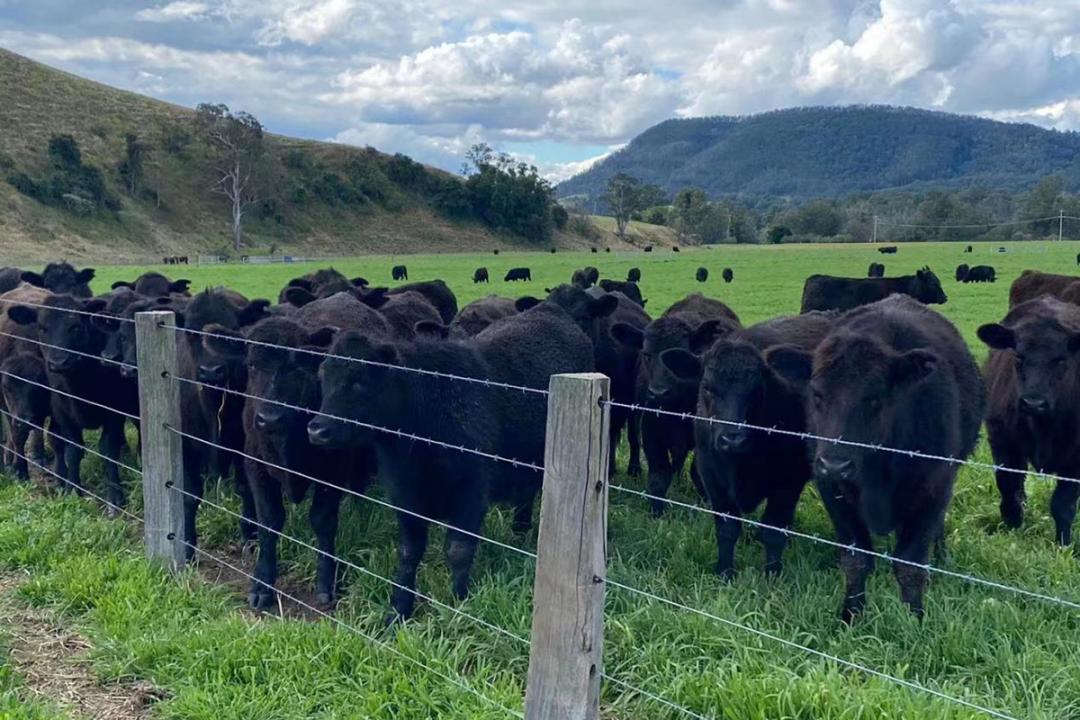 掌握招商引资十大黄金法则,掌握招商引资信息