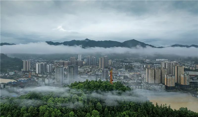 漫步林中风景如画美女似仙女,漫步美丽风景