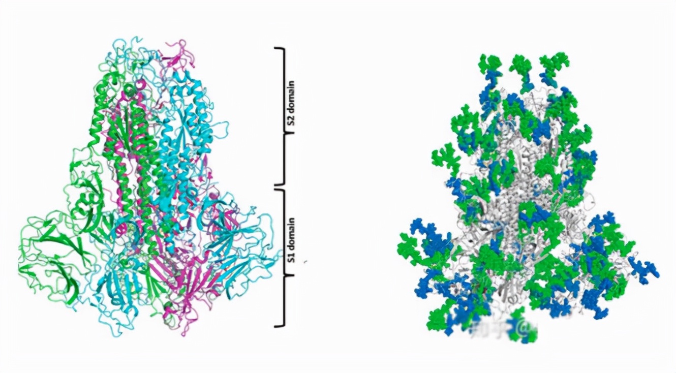 奥密克戎进入中国,奥密克戎对中国的影响