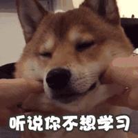 爆肝头秃还是学不好IB？IB娃如何突破学习“困局”