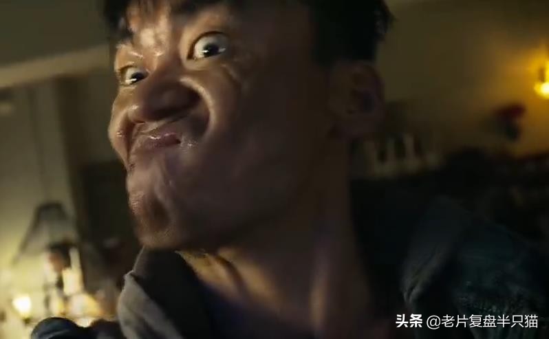 推荐几部甄子丹最能打的动作电影,甄子丹拍过三部巅峰时期动作片