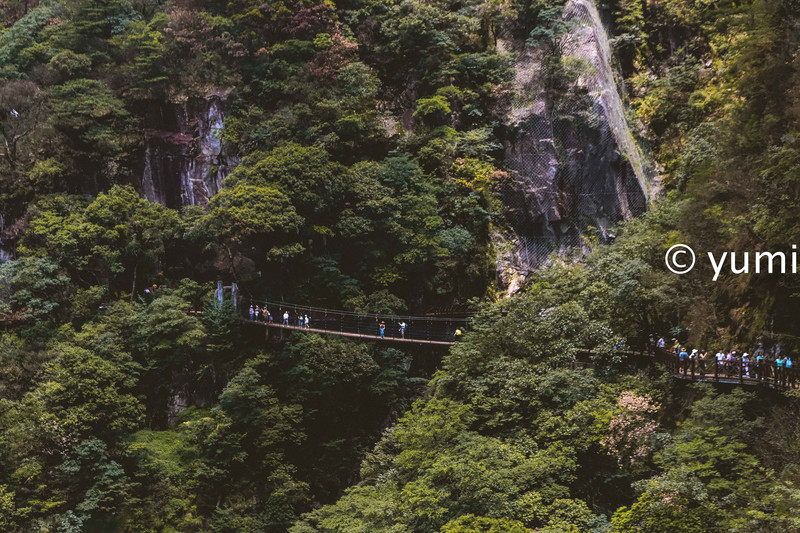 武功山的云中草原,武功山旅游攻略雪景