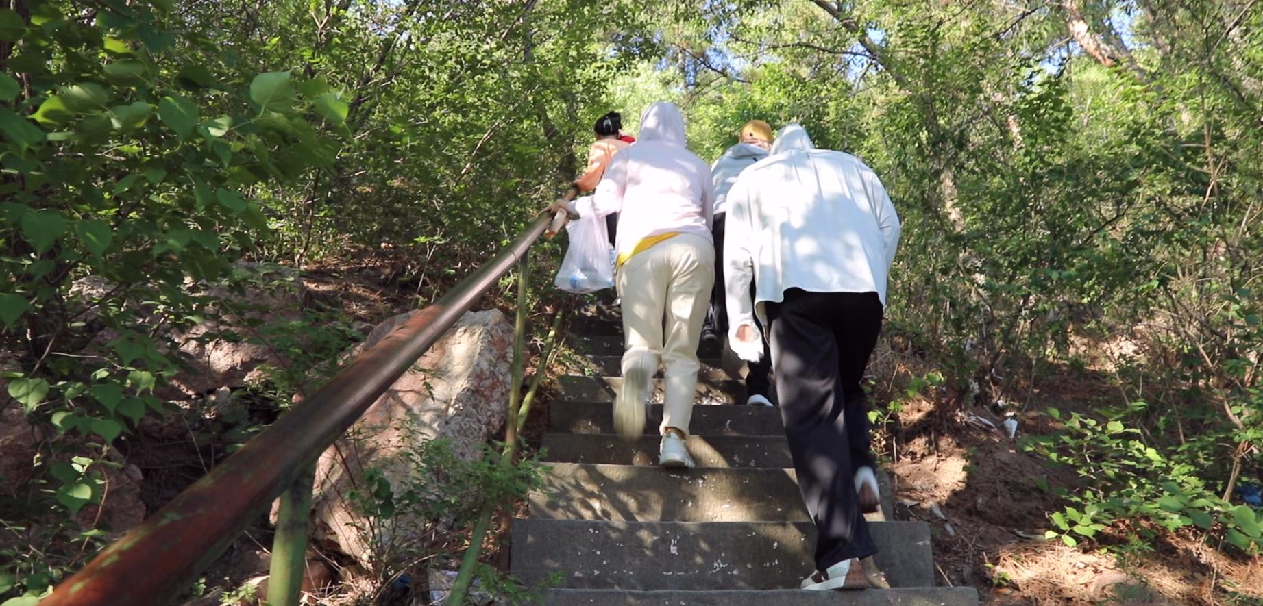 端午节艾草节,五月端午艾草香