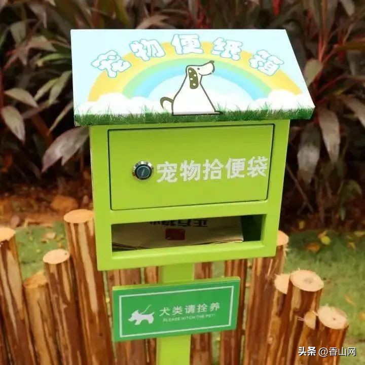 珠海遛狗有市场吗,珠海有哪些地方可以遛狗啊