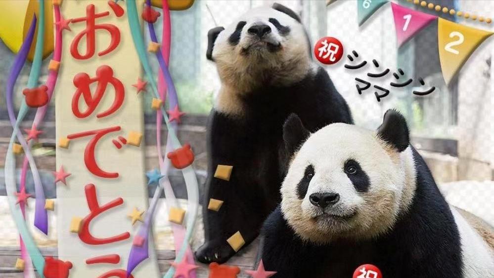 各国对待中国熊猫的态度,盘点各国对待大熊猫的态度