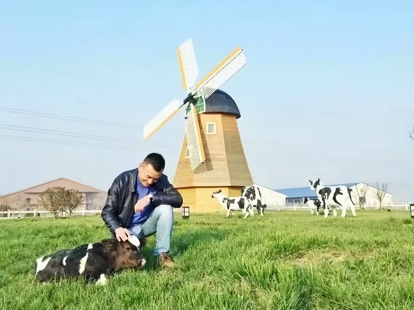 认养一头牛是股权代持还是集资,认养一头牛ipo进展