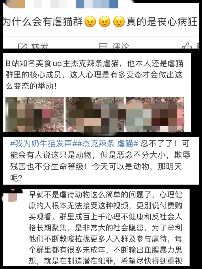 怎么看待杰克辣条虐猫事件,杰克辣条虐猫的时候是第几期