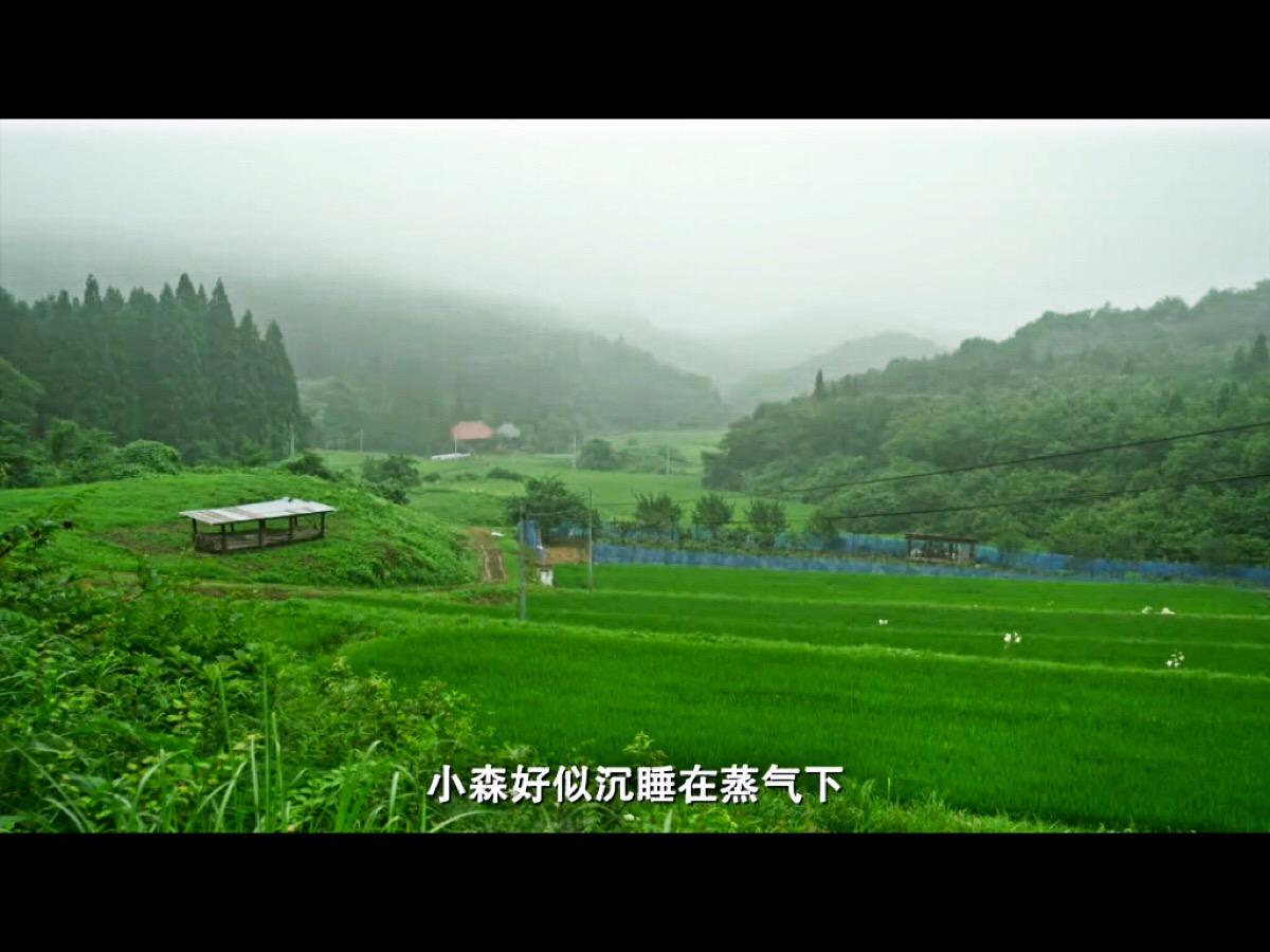 日本电影小森林简介,日本治愈系电影小森林海报