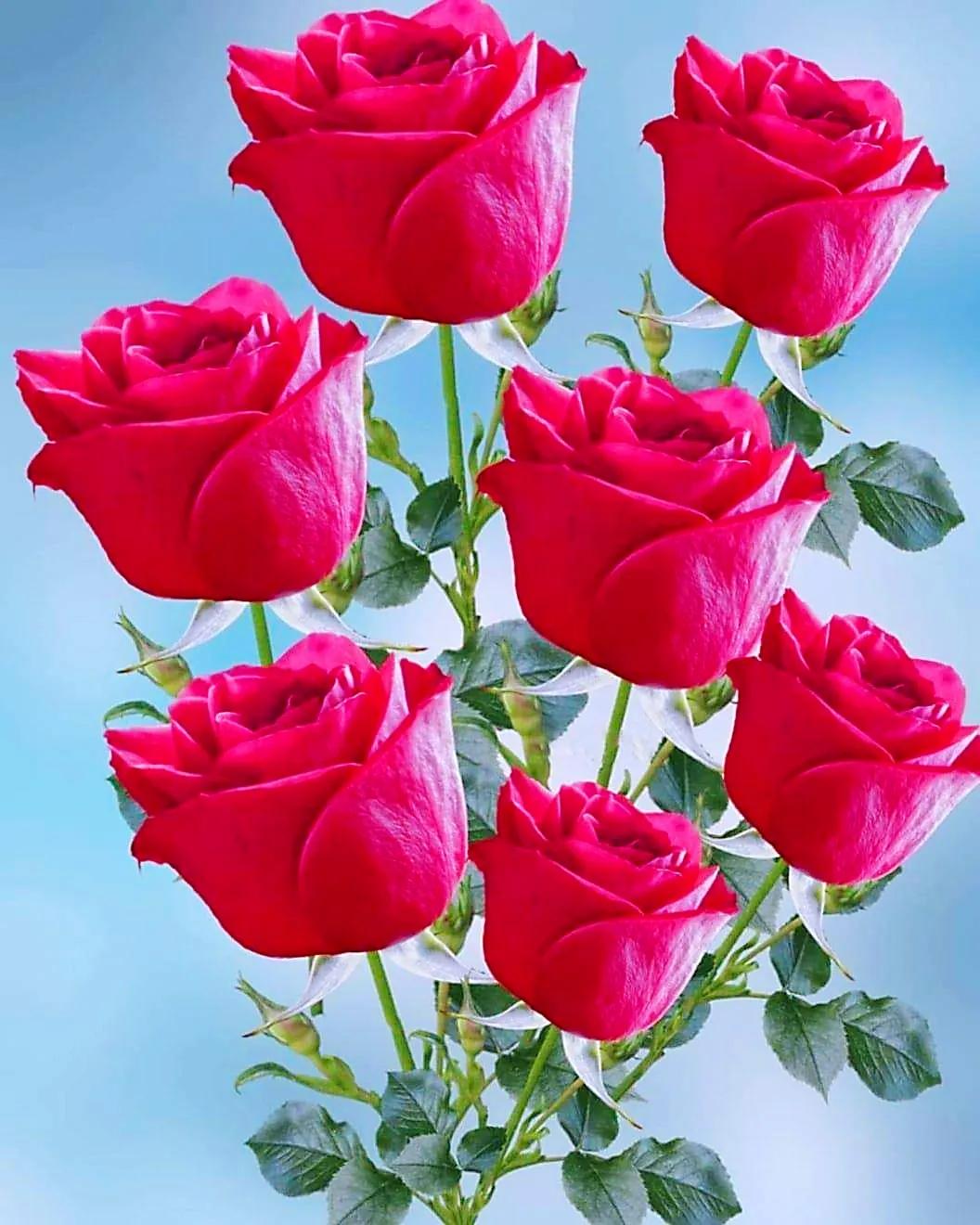 鲜花永远是女人的最爱,鲜花打动女人心