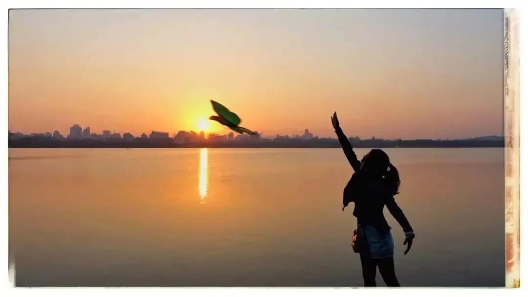 孩子意外走了，作为父母应该怎么生活下去