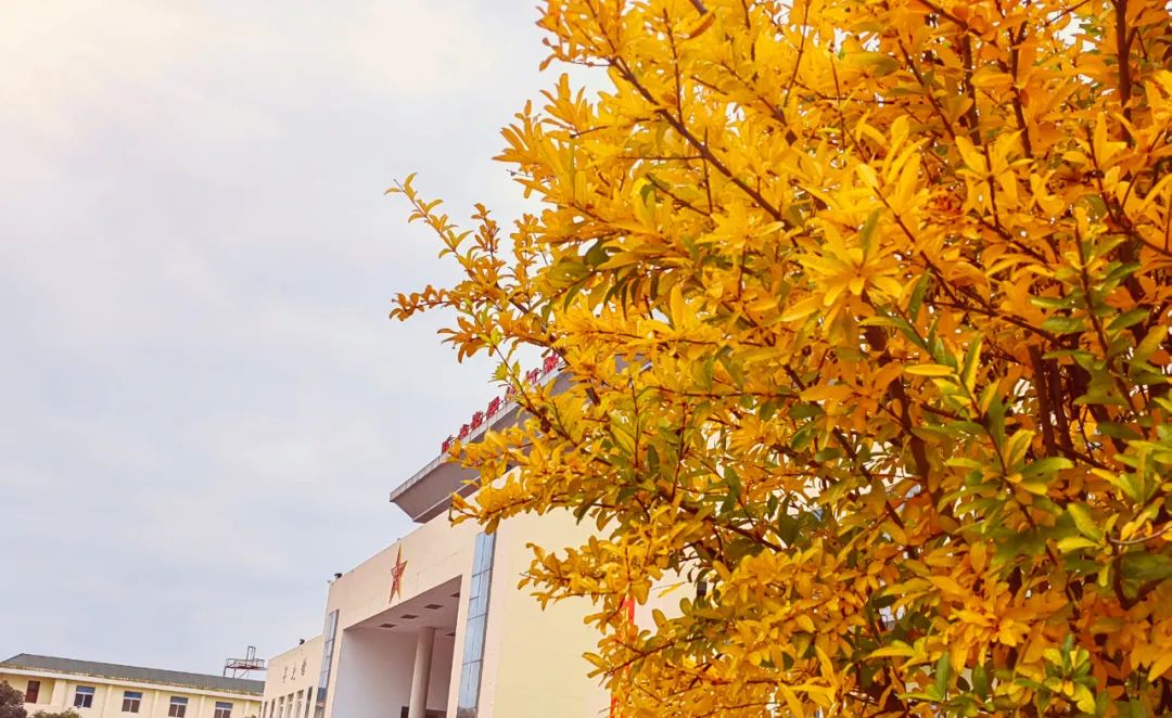 秋天军营风景,军营秋天