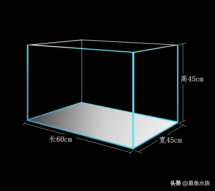 新手养鱼如何选鱼缸,新手养鱼怎样选择小鱼缸