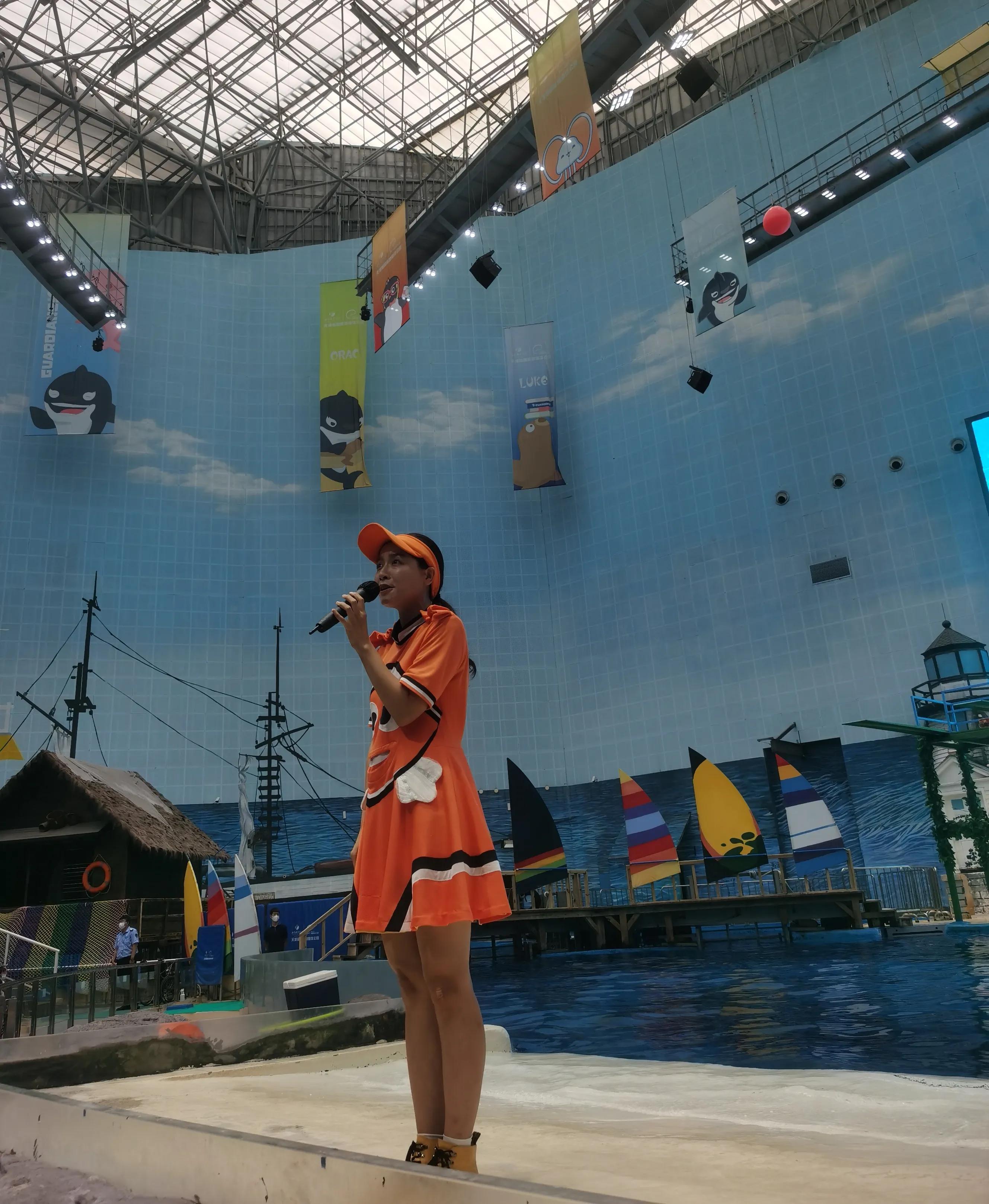 海昌极地海洋公园99元夜场票,海昌海洋极地公园攻略