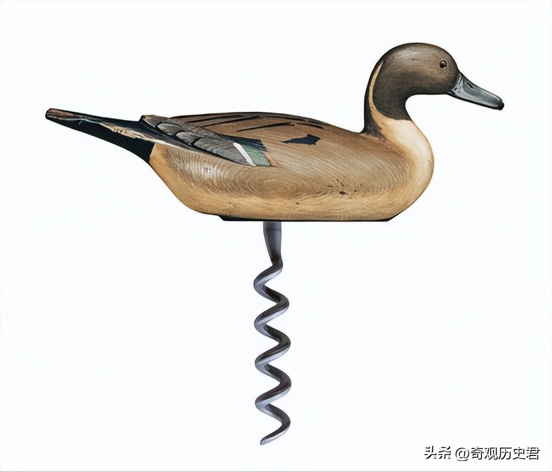 雄性动物进化器官,雄性生物生殖进化