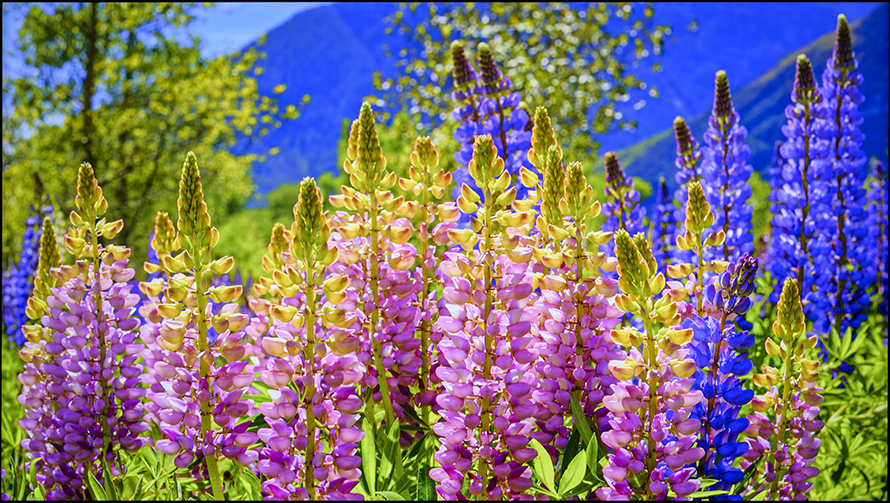 创维守护者65,创维守护者75寸