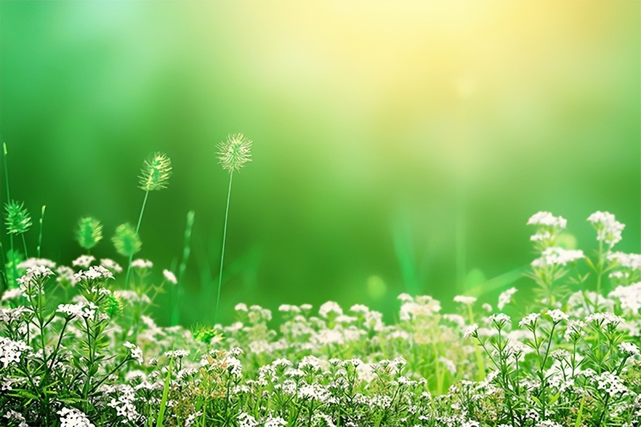 五句与春天有关的诗词,关于春天的100首经典诗词