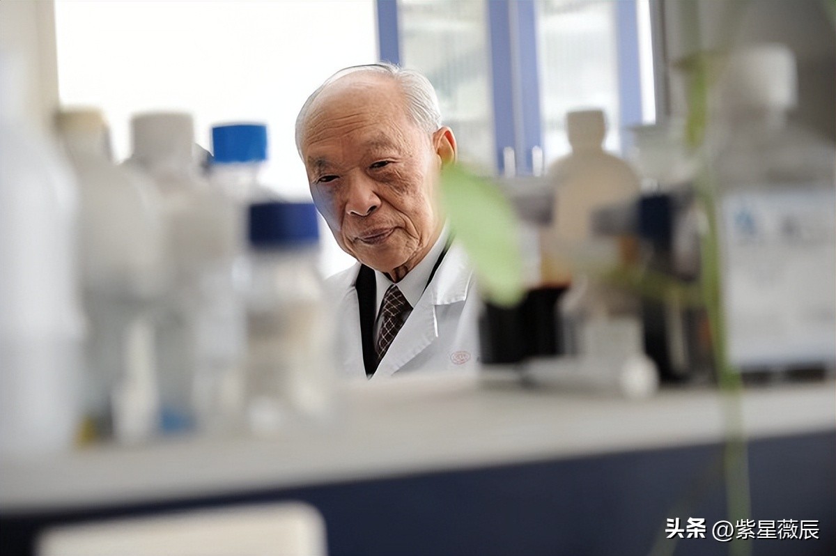 治白血病的特效药老教授放弃专利,中国医生放弃白血病药的专利