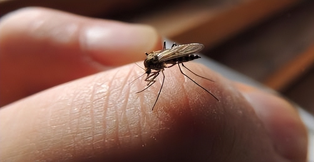 脖子上的小肉粒揪掉后会怎样,脖子上透明小肉粒可以揪下来