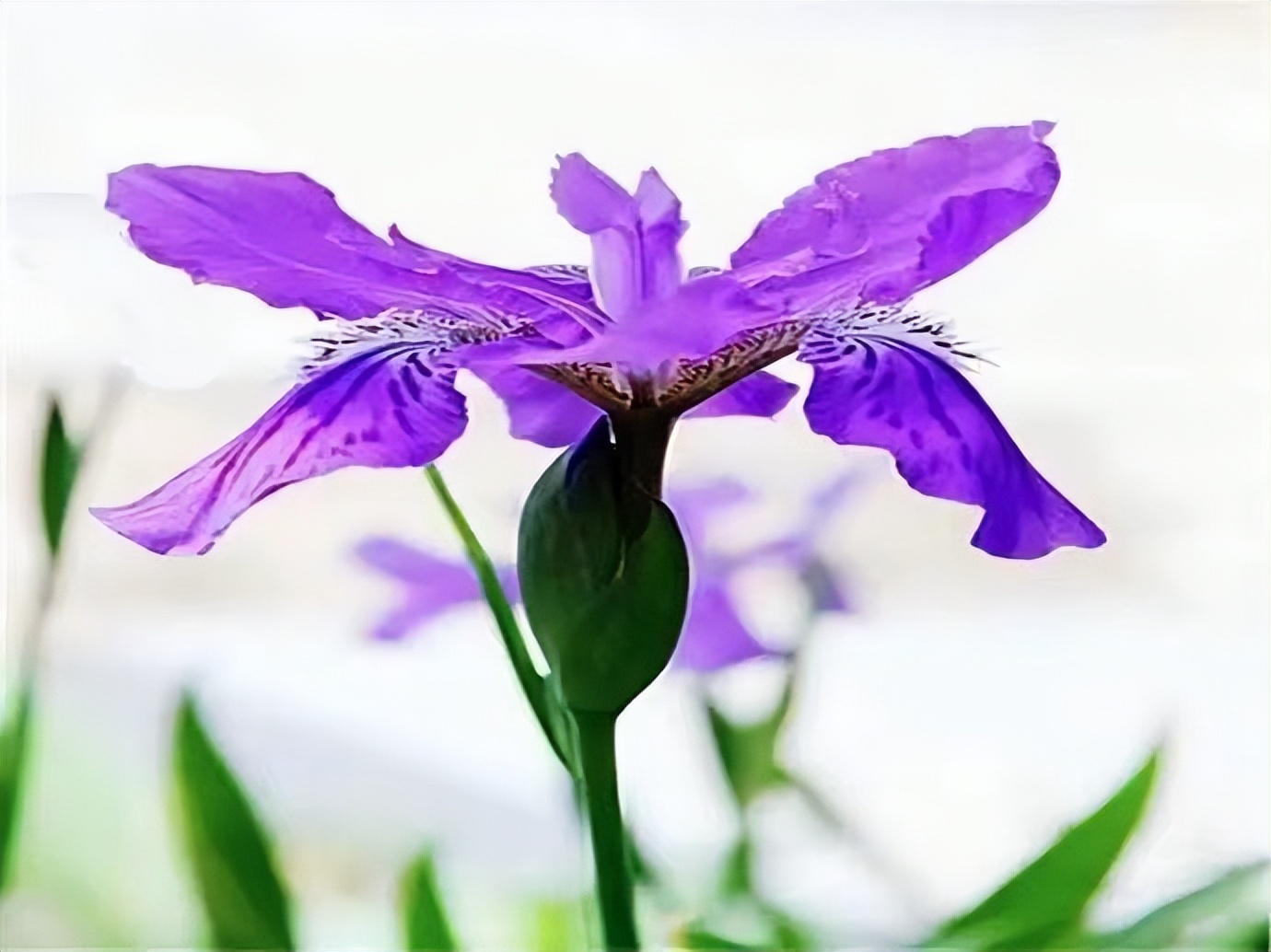 回家过年给母亲带什么护肤品,过年带回家的护肤品怎么携带