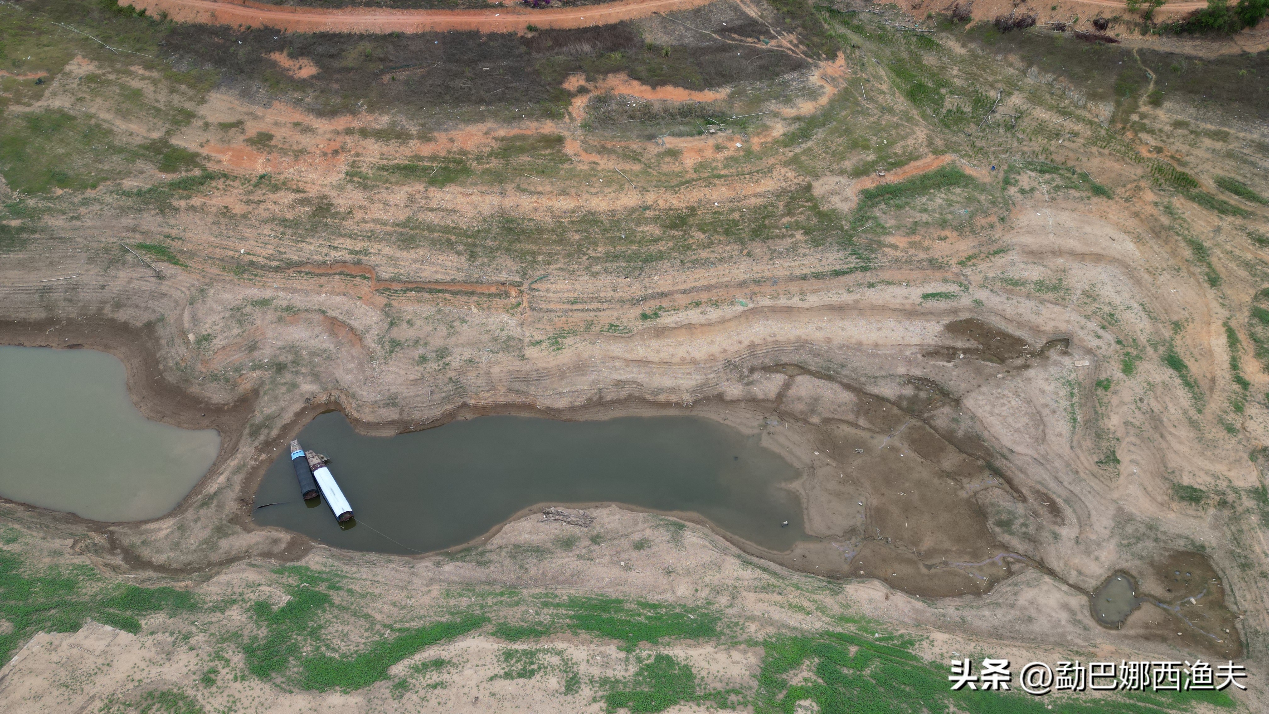 2020万峰湖野钓大罗非,万峰湖陇纳村野钓大罗非