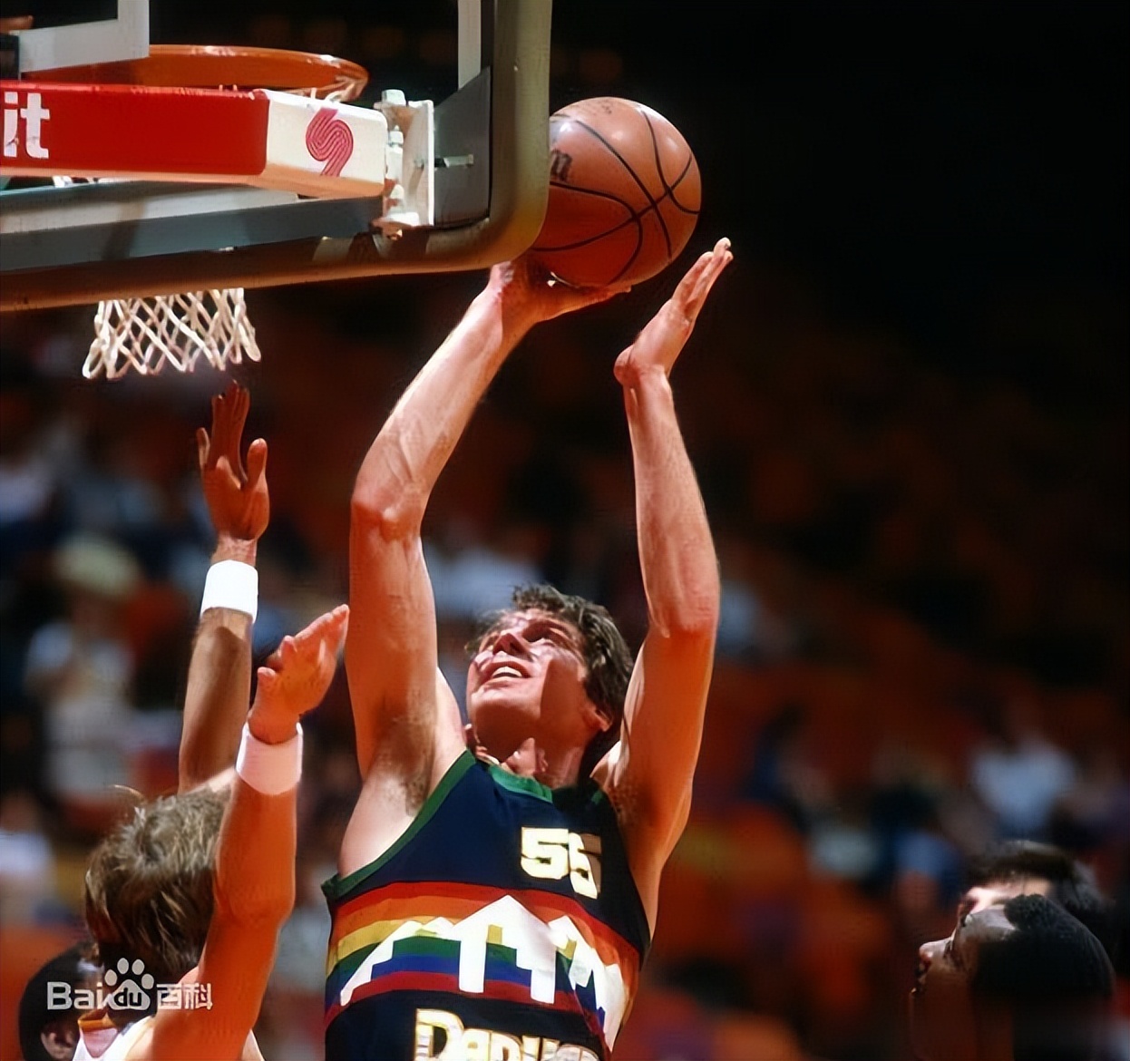 nba巡礼2001,nba巡礼尼克斯