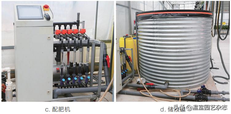 关注｜可升降的观光型草莓吊架，你见过吗？