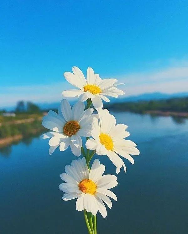 庄子人可以无情的活着,庄子谈死亡也许是另一种开始