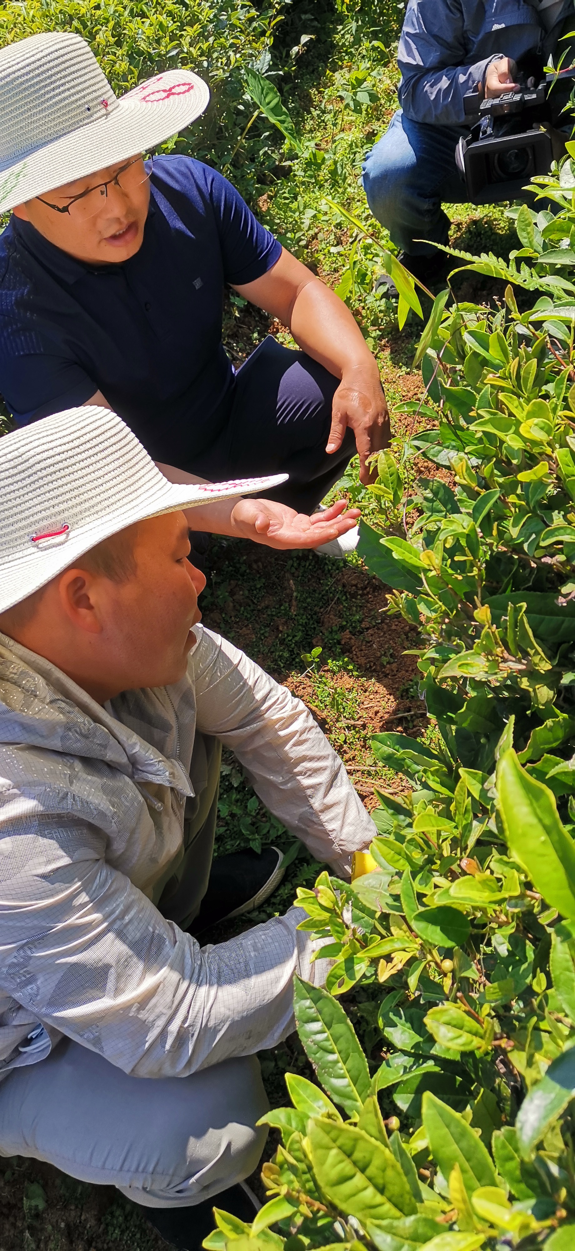 带动乡村振兴的能人回乡,乡村振兴助力人才返乡