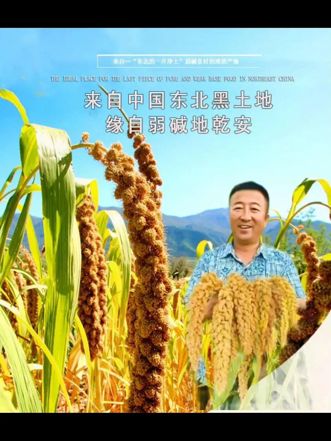 粮食安全和生态安全之间的关系,生态安全与粮食安全发展的措施