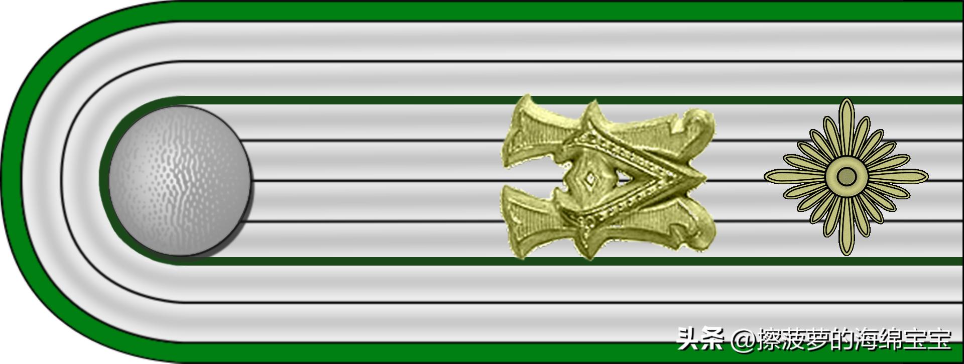 二战德国国防军医疗兵军衔标志