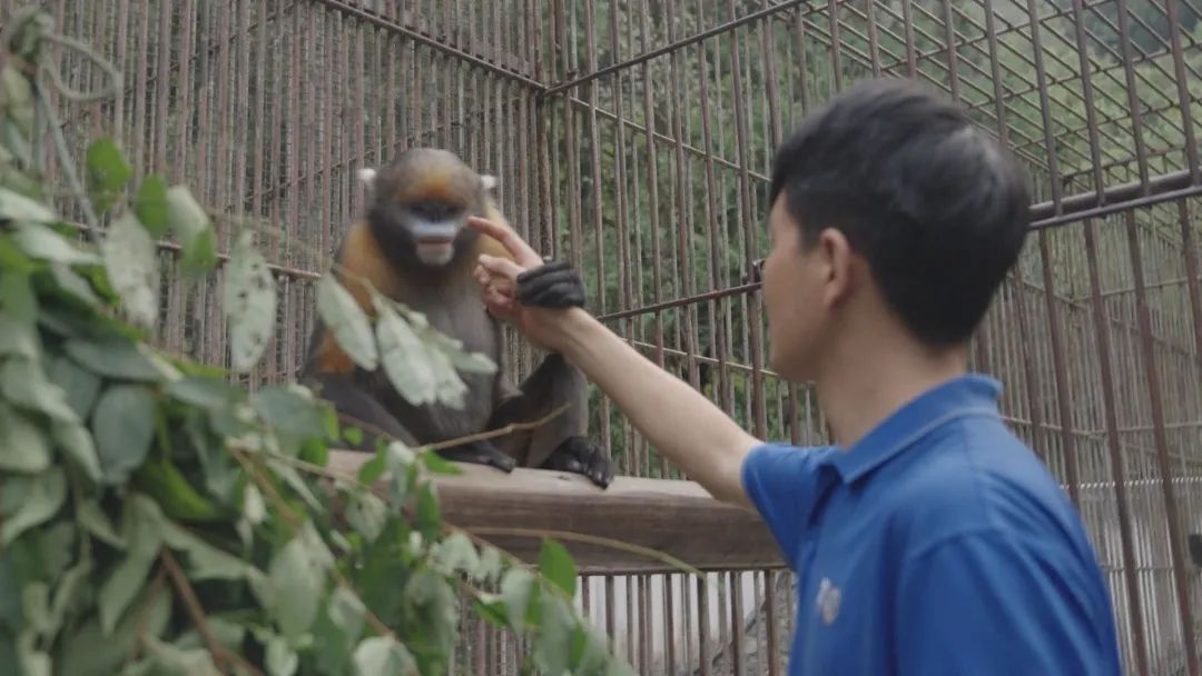 贵州最值得一去的地方,贵州最值得去的10个好地方