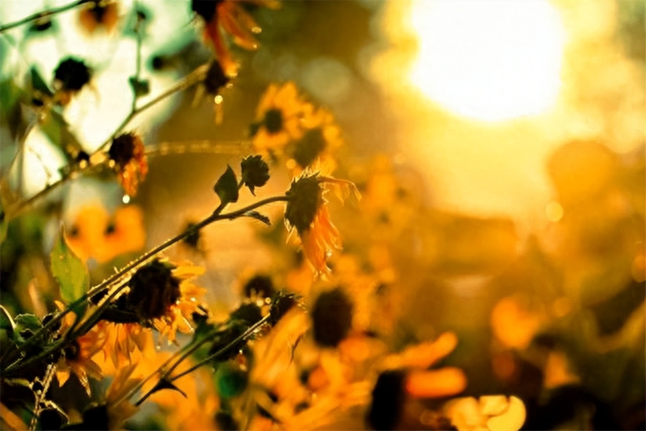 负债后，一定要学会“鳄鱼法则”，这样才能翻身，走出人生低谷