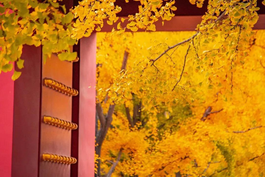 有哪些看一眼就想抄下来的诗,有哪些书是你看到人就想推荐的