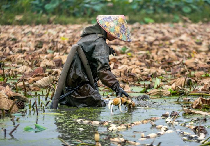 世界上最贵的泥巴比金子还贵,世界上最贵的泥巴制作