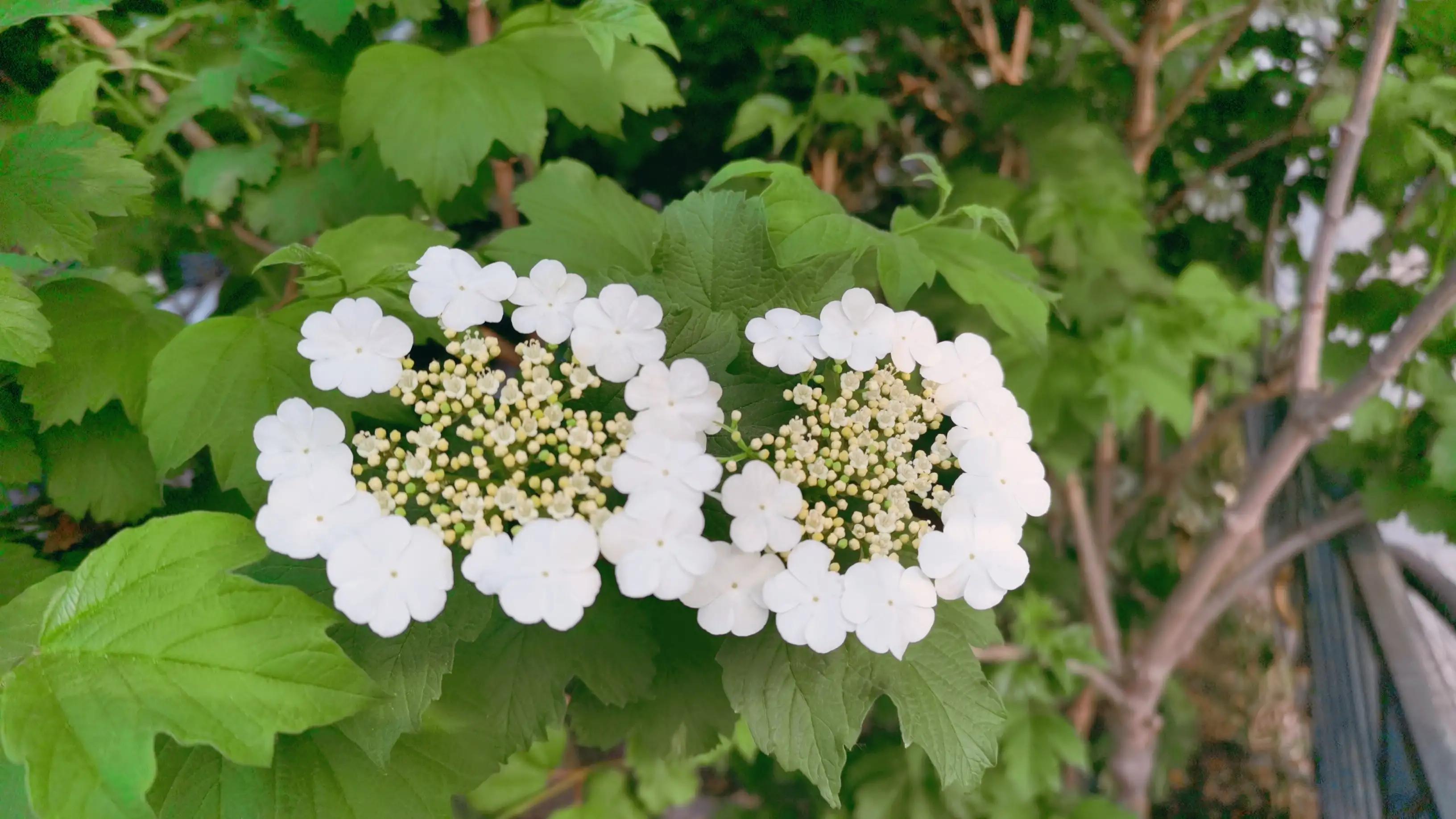 家里有一个节俭的老婆,家里有位贤惠的老妈