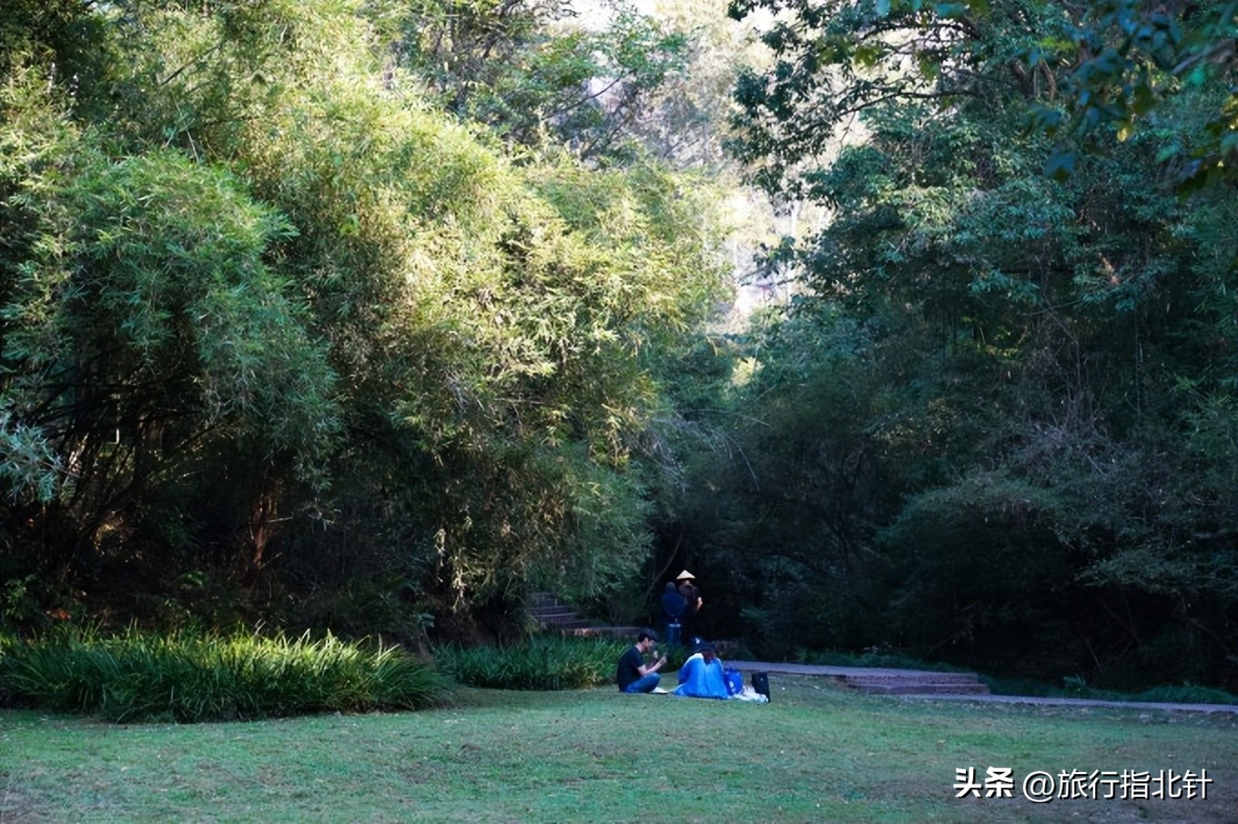 福建旅游攻略武夷山,福建武夷山旅游攻略一日游