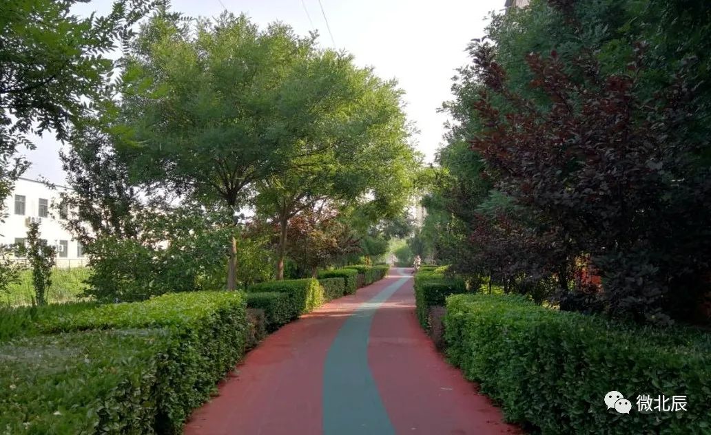 迎盛会铸忠诚强担当创业绩朗诵,迎盛会铸忠诚强担当创业绩汇演