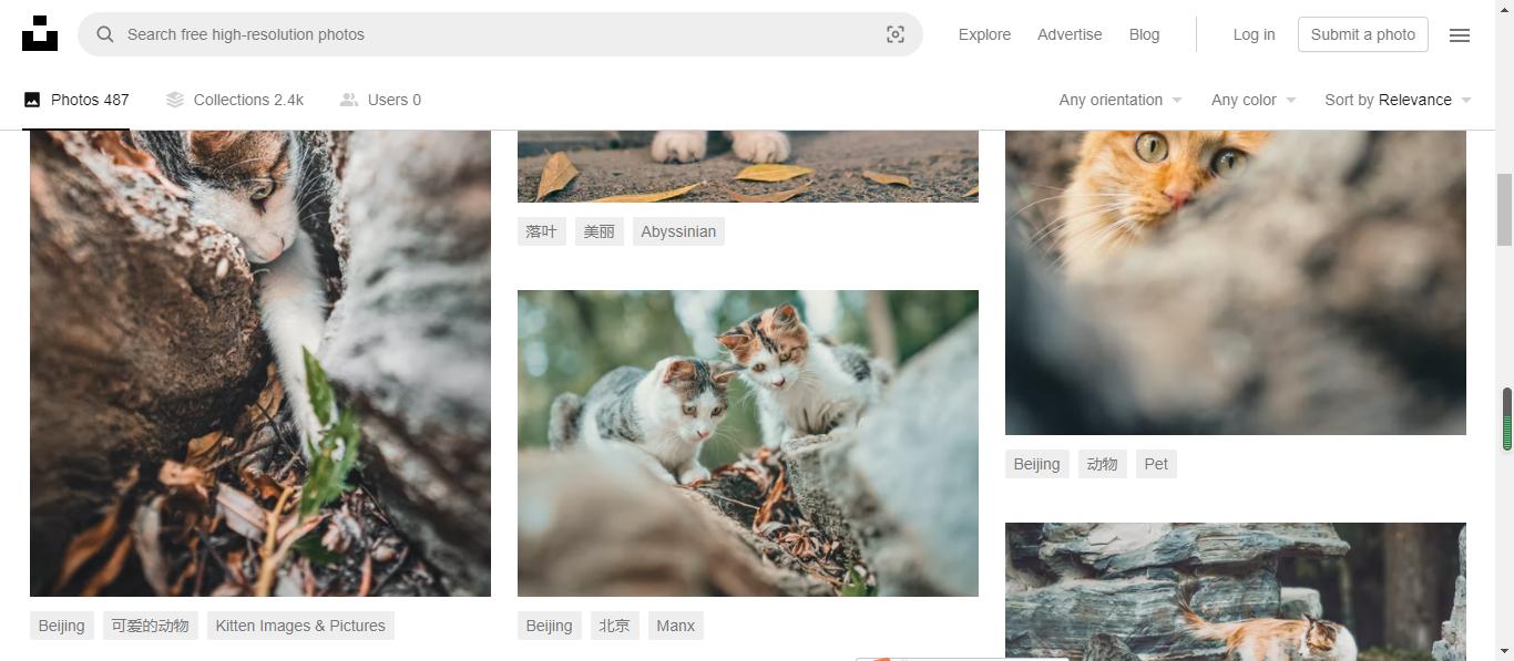 免费的高清图片素材网站,风景动图高清图片免费