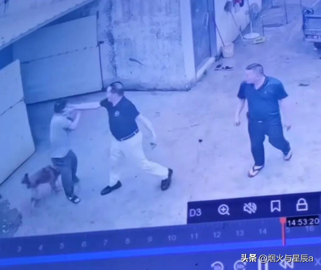 村霸恶霸被惩治,恶霸村长涉黑案