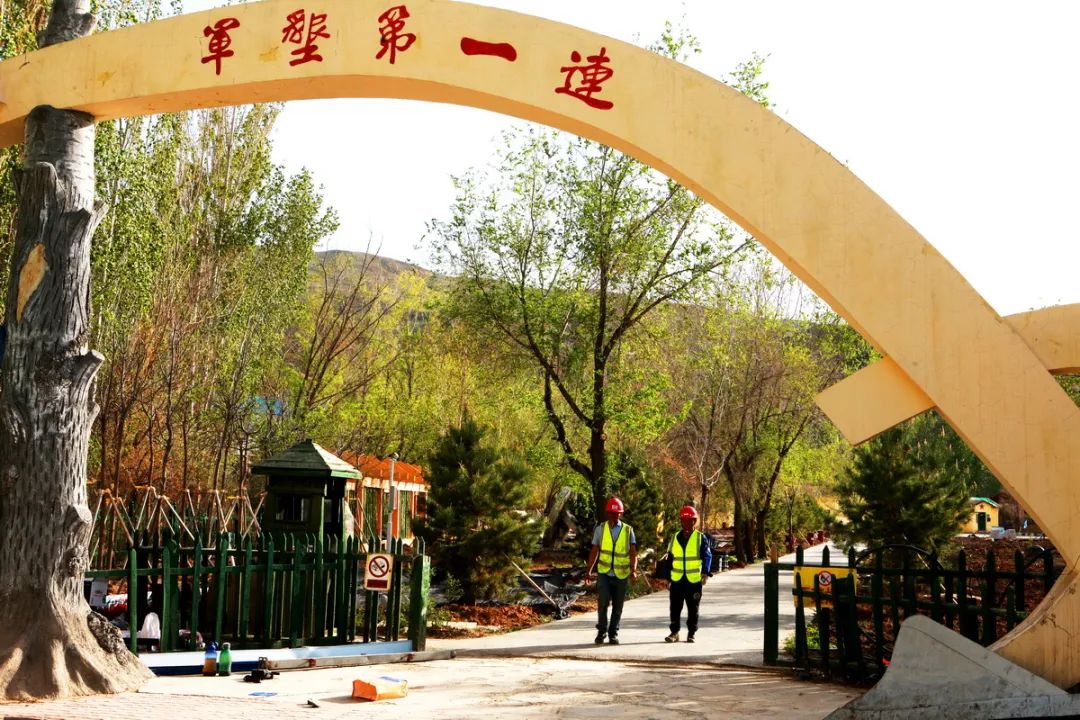 贯彻落实上级党组织工作部署,贯彻落实党委部署方面