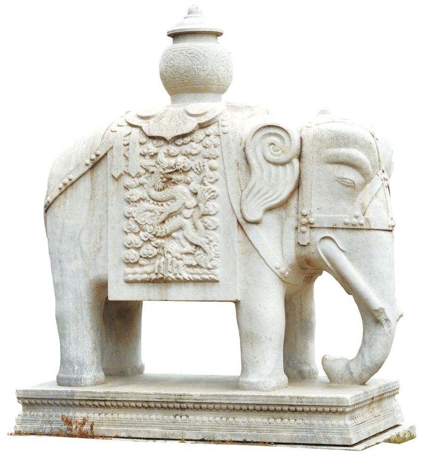 总有一种美会惊艳到时光,有一种玫瑰永不凋零