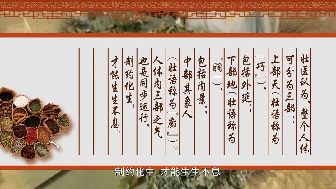 中医推拿按摩针灸保健知识讲座,八桂中医科普