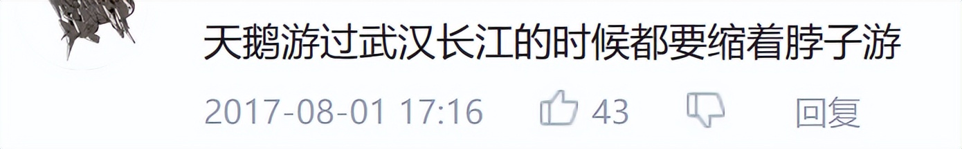 零食界三大奢侈品,中国零食中的爱马仕