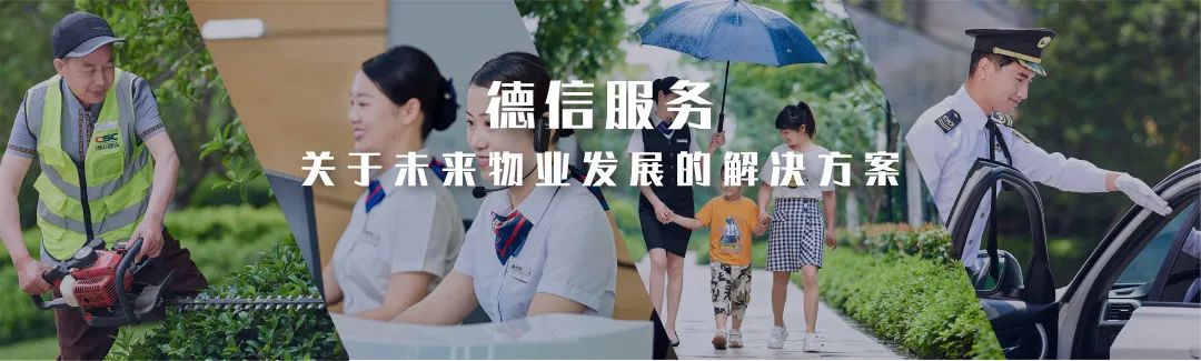 德信服务最高股价,德信服务集团